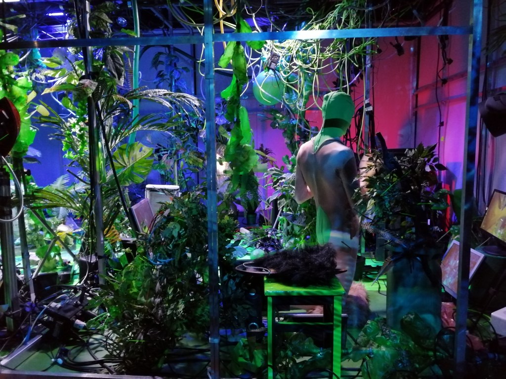 Foto Wikke van Houwelingen